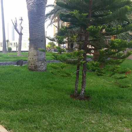 Ocean View In Center Of Las Americas * Playa de las Americas (Tenerife)